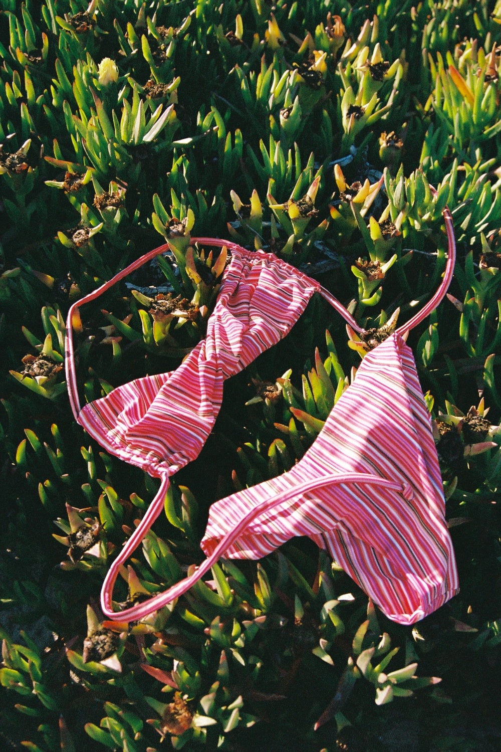 Twist Bikini Top // Watermelon Stripe